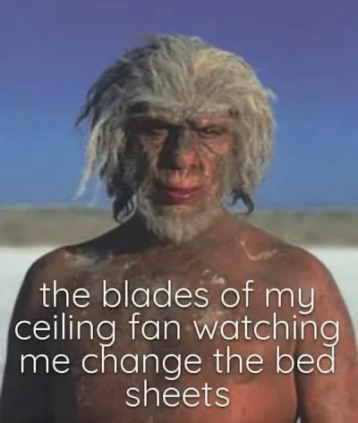 Ceiling fan blades.png