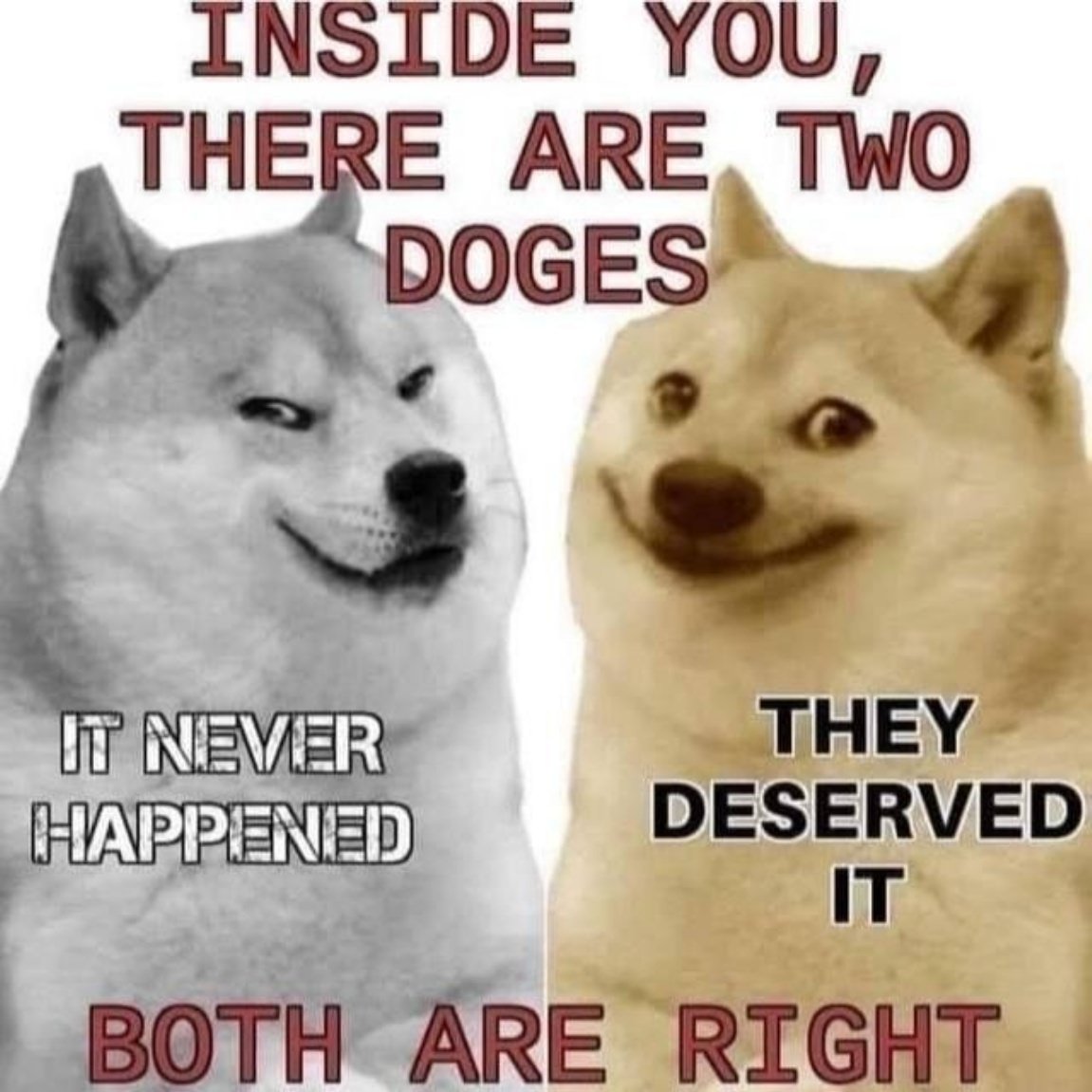 Two Doges.jpg
