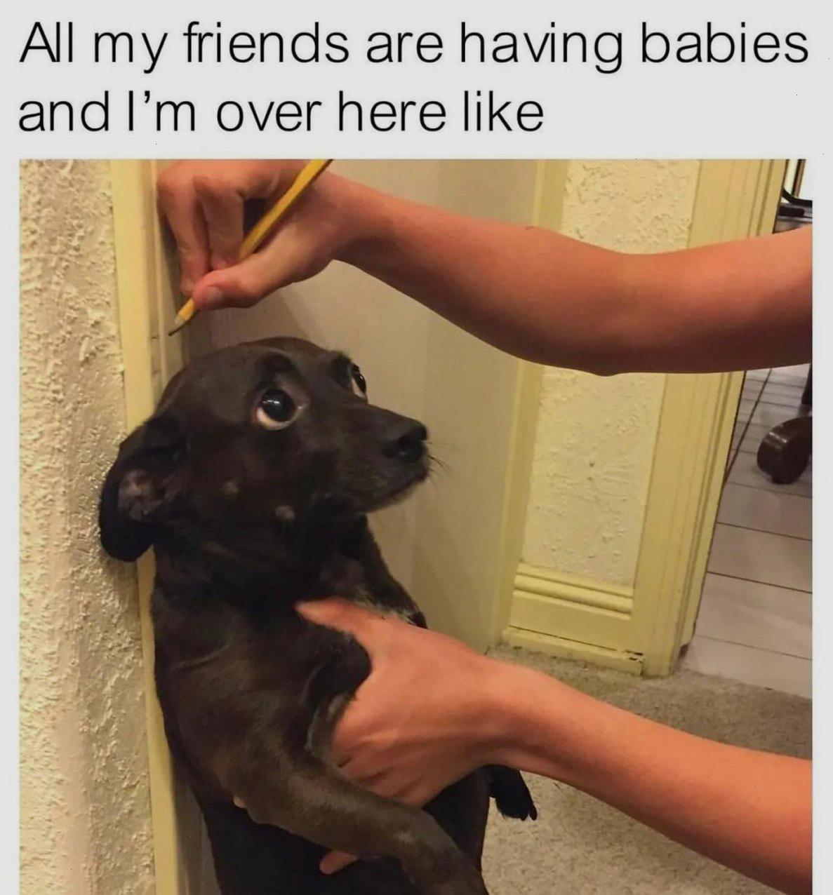 Measuring my weiner.jpeg