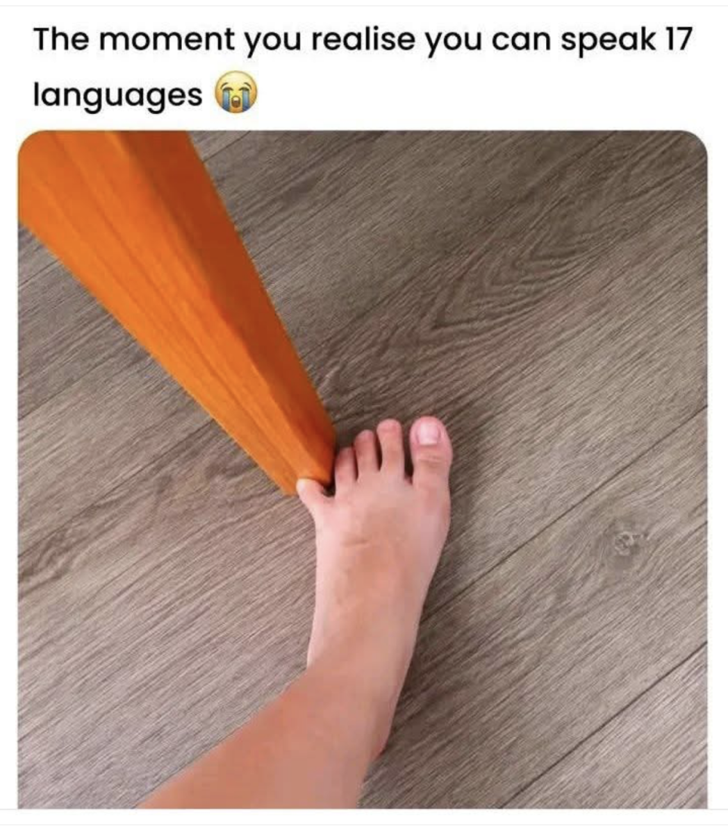 Speak 17 languages.png