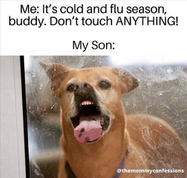 Cold and flu season.jpeg