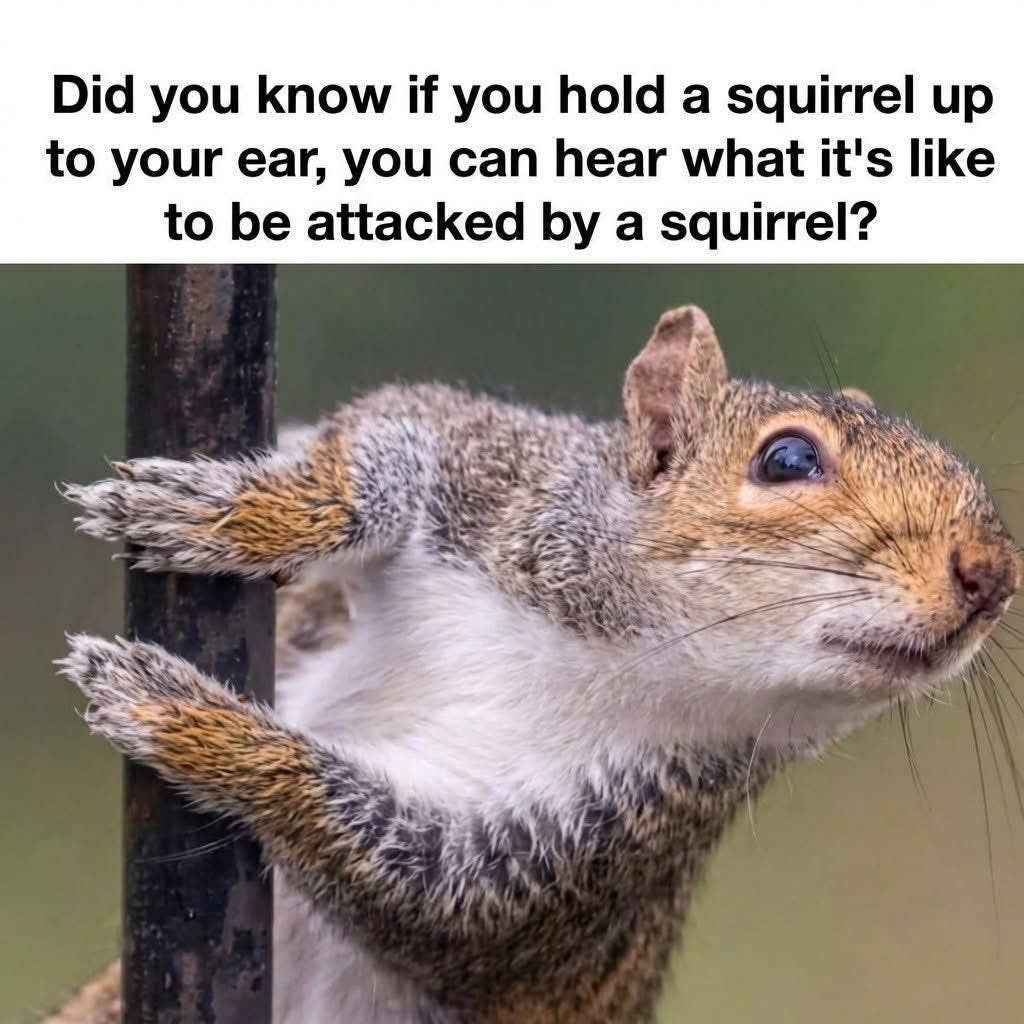 Squirrel to your ear.jpg