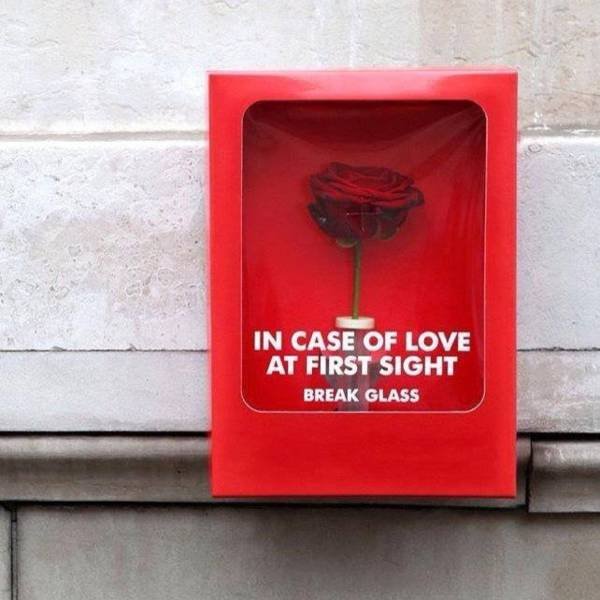 In case of love.jpeg