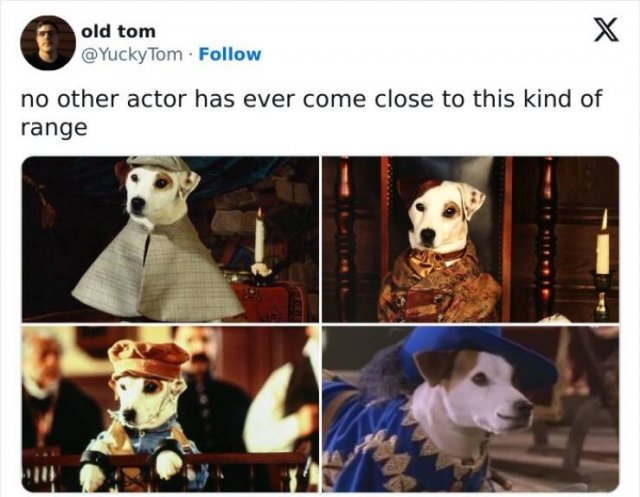Actor range.jpeg