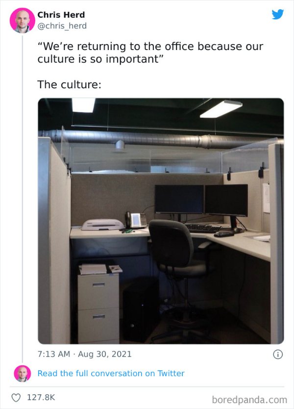 Office culture.jpeg