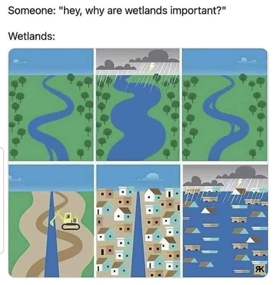 Wetlands.jpg
