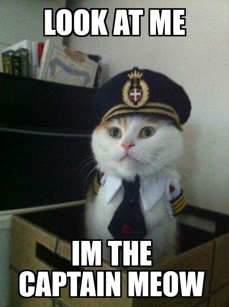 Captain.jpeg